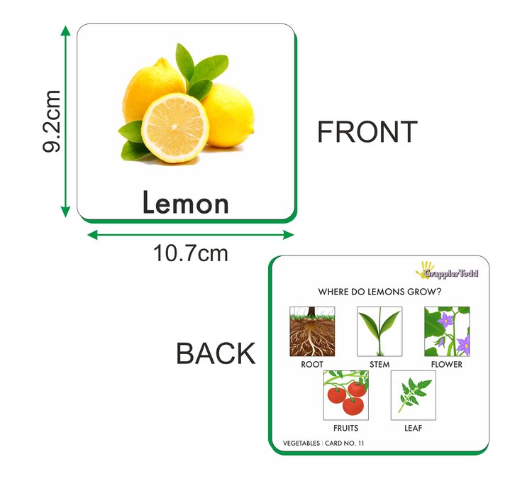 GrapplerTodd - Flash Cards | Vegetables & Fruits Flashcards for Kids