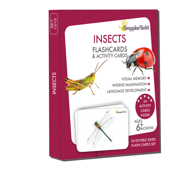 GrapplerTodd - Activity Flash Cards | Insects & Aquatic Animals Flashcards for Kids