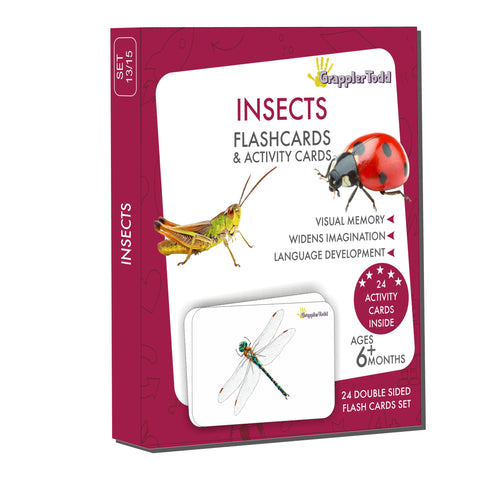 aquatic animals flash cards, insects flashcards