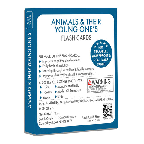 animals and their young ones flashcards