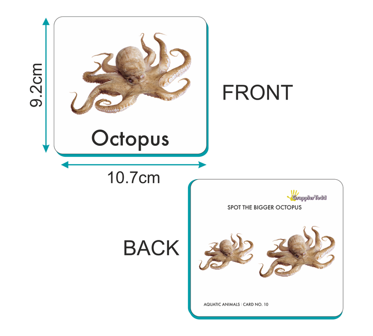 aquatic animals flashcards