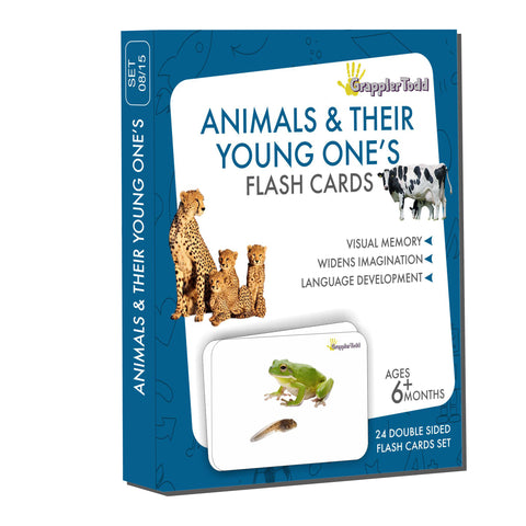 animals and their young ones flashcards