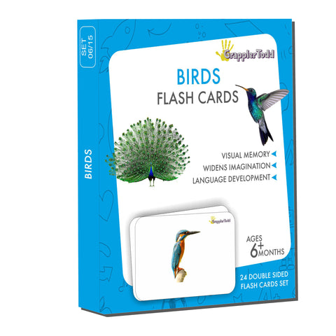 buy birds flashcards