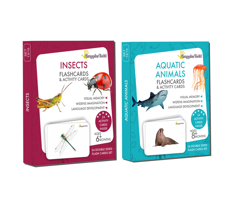 aquatic animals flash cards, insects flashcards
