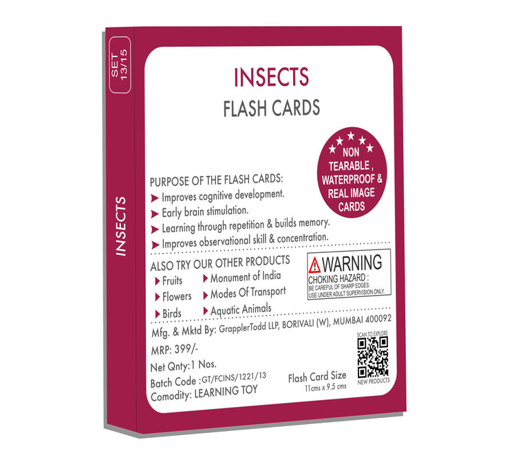 Insects activity flash cards