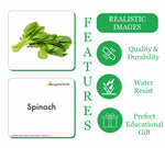 GrapplerTodd - Leafy Vegetables Flashcards for Kids