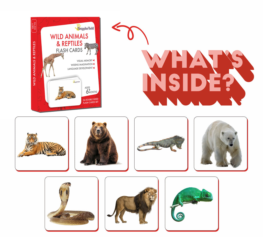 GrapplerTodd - Wild Animals & Reptiles Flashcards for Kids