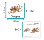 GrapplerTodd - Aquatic Animals Activity Flashcards for Kids