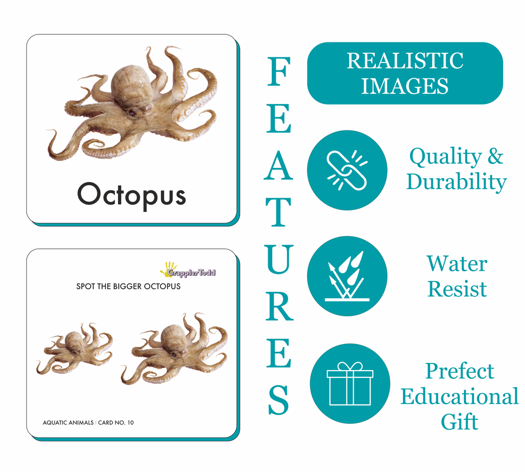 GrapplerTodd - Aquatic Animals Activity Flashcards for Kids
