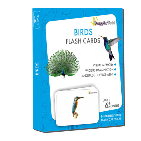 GrapplerTodd - Birds Flashcards For Kids