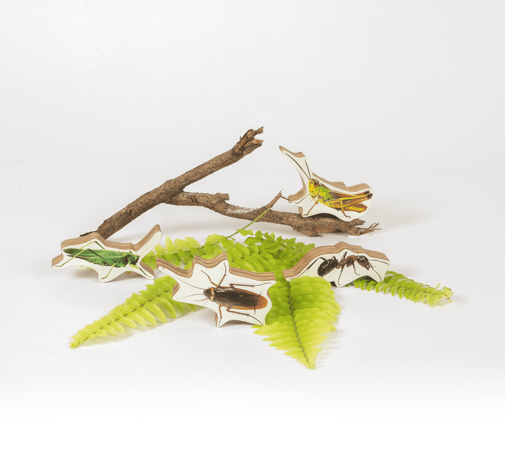 GrapplerTodd - Wooden Insects Toy Set