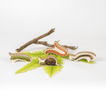 GrapplerTodd - Wooden Insects Toy Set