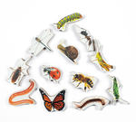GrapplerTodd - Wooden Insects Toy Set