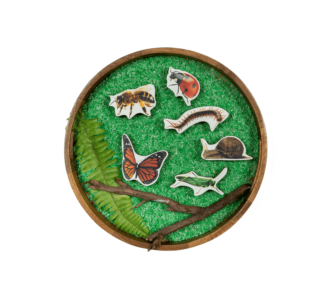 GrapplerTodd - Wooden Insects Toy Set