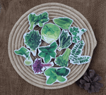 GrapplerTodd - Wooden Leafy Vegetables Toy Set