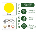 GrapplerTodd - Shapes & Colours Flashcards for Kids