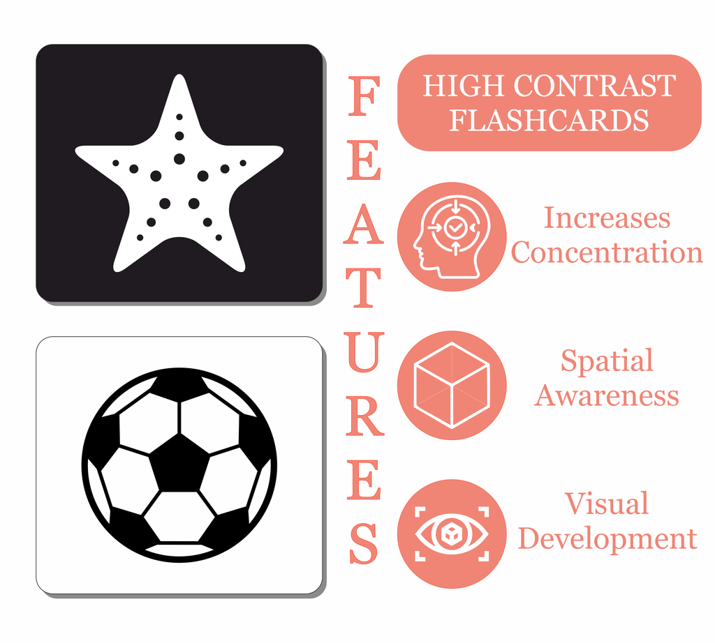 GrapplerTodd - High-Contrast Flashcards