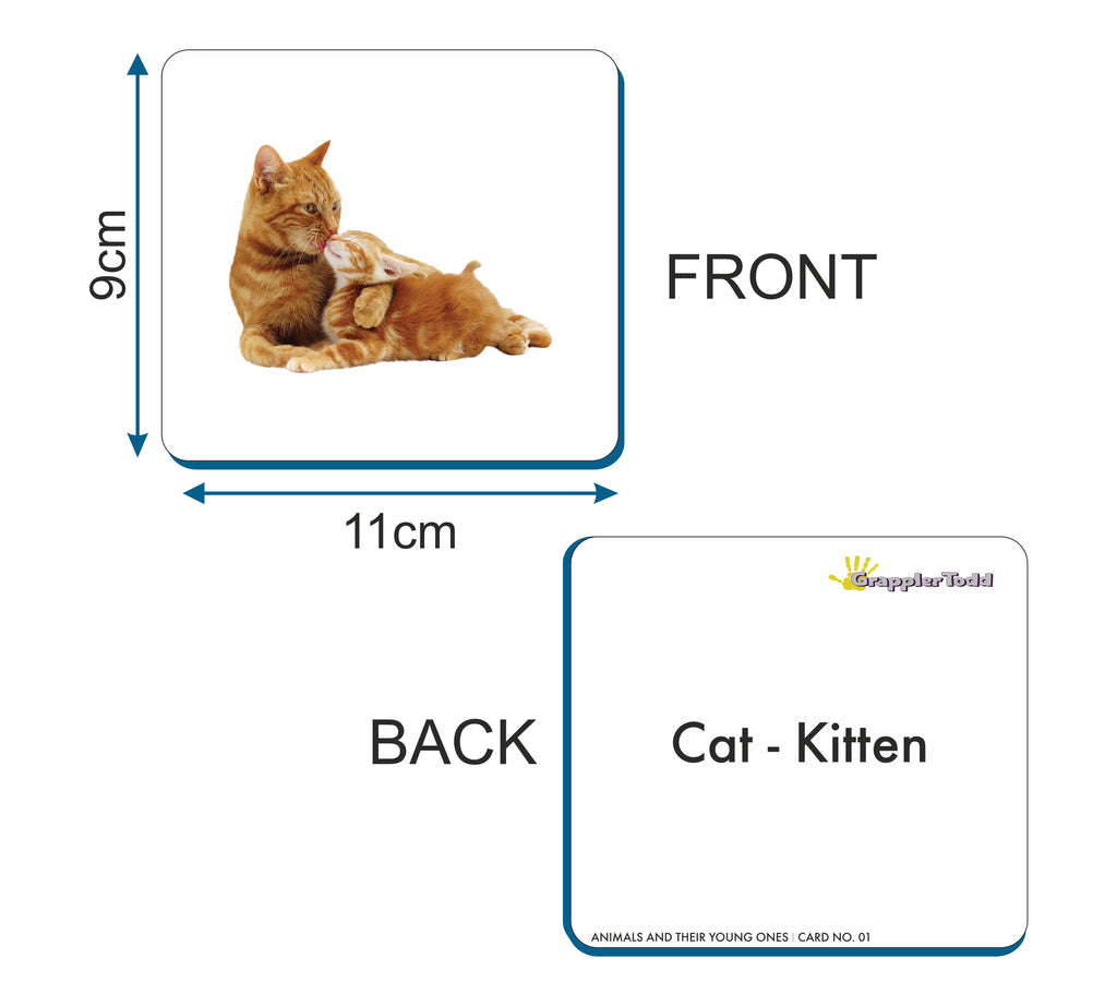 GrapplerTodd - Animals And Their Young Ones Flashcards for Kids