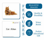 GrapplerTodd - Animals And Their Young Ones Flashcards for Kids