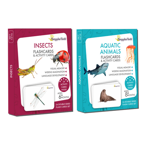 aquatic animals flash cards, insects flashcards 